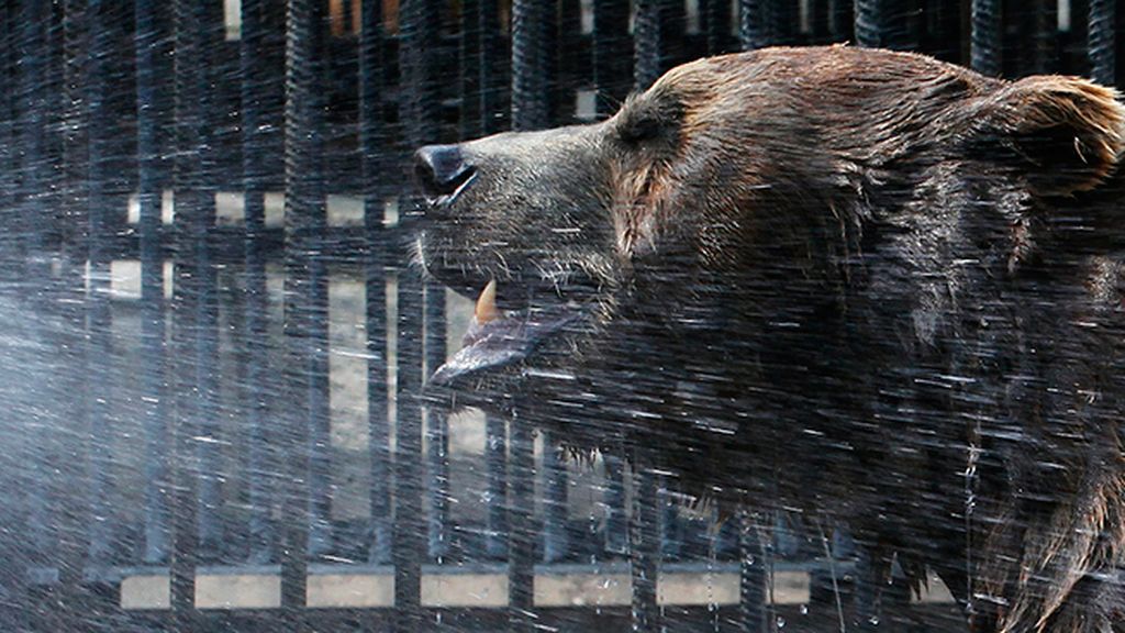 Mojar la cara y las muñecas, lo que más refresca