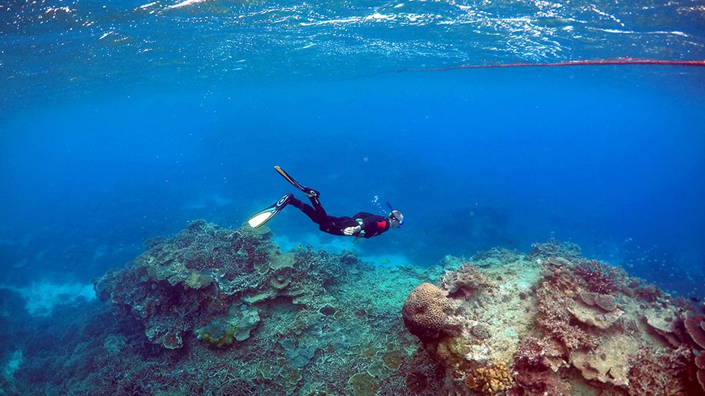 El conjunto de arrecife coralífero más extenso del mundo