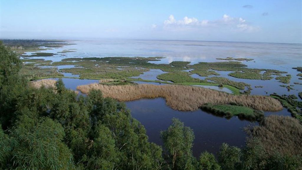 Queremos un DIA para Doñana
