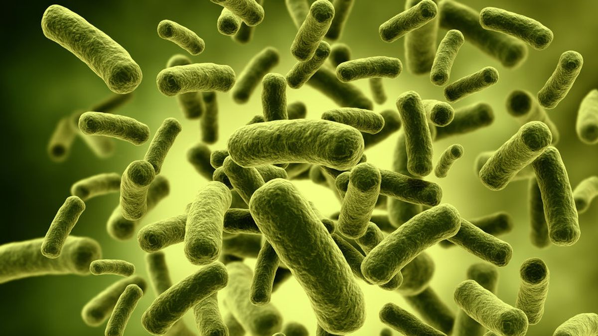 Crean un antibiótico capaz de acabar con las superbacterias