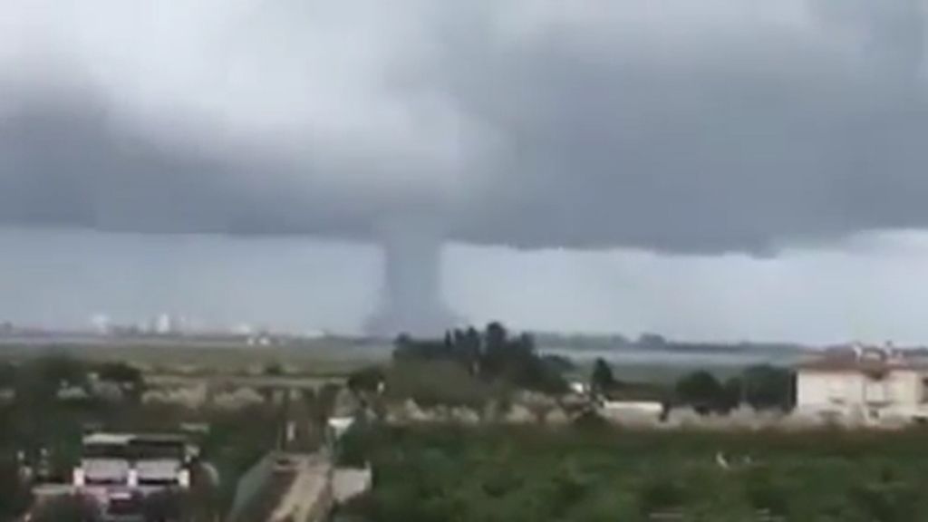 La tuba marina de Valencia