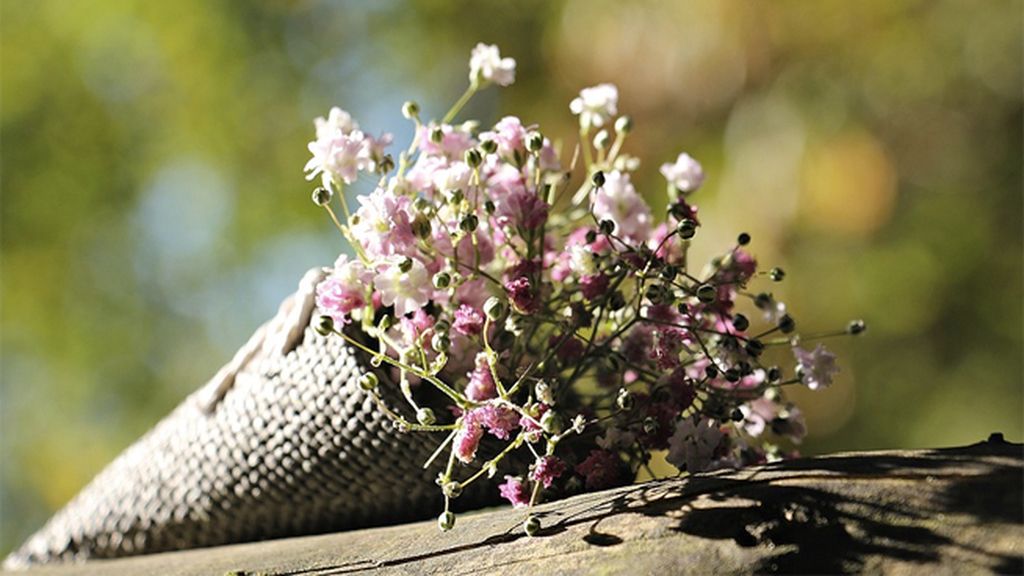 flores san valentín