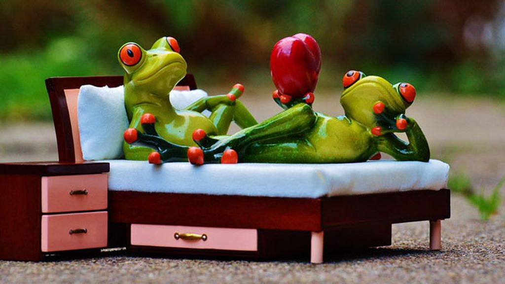 El sexo está asegurado con lluvia, con sol, por la noche o con frutas de cada estación