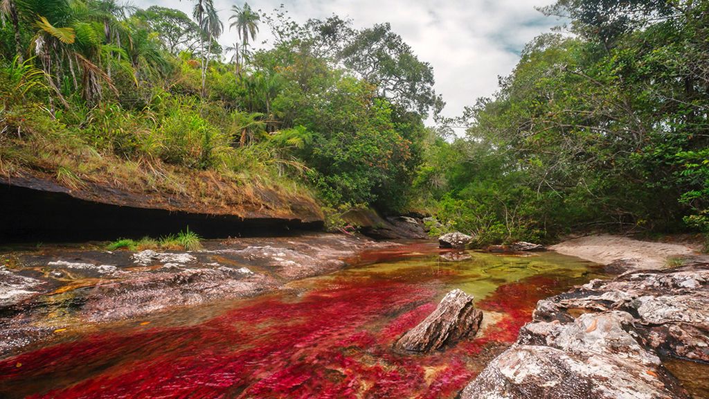 Unos 100 kilómetros de Paraíso en Colombia
