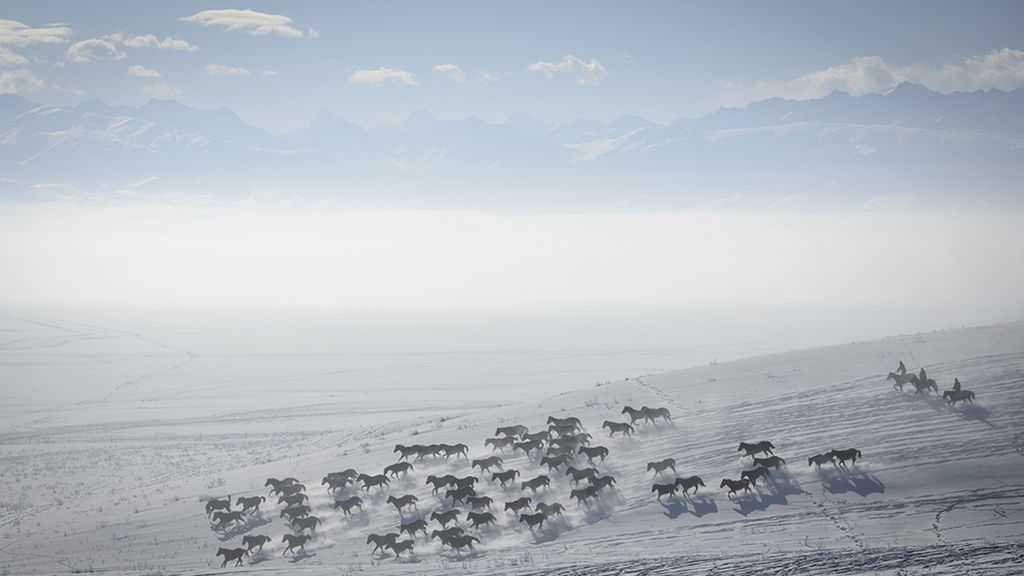 El mundo animal en un marco invernal