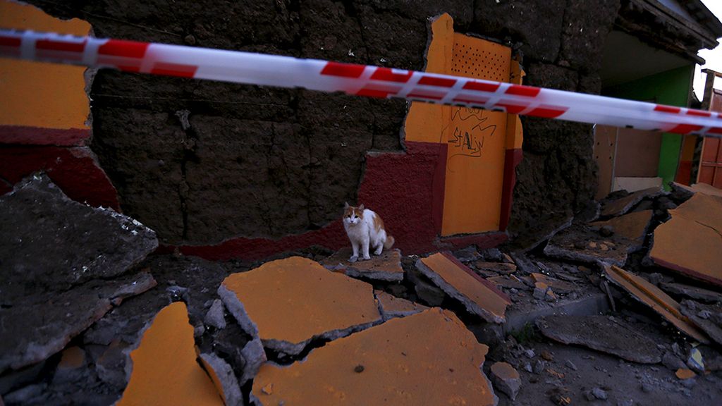 La tragedia del seísmo