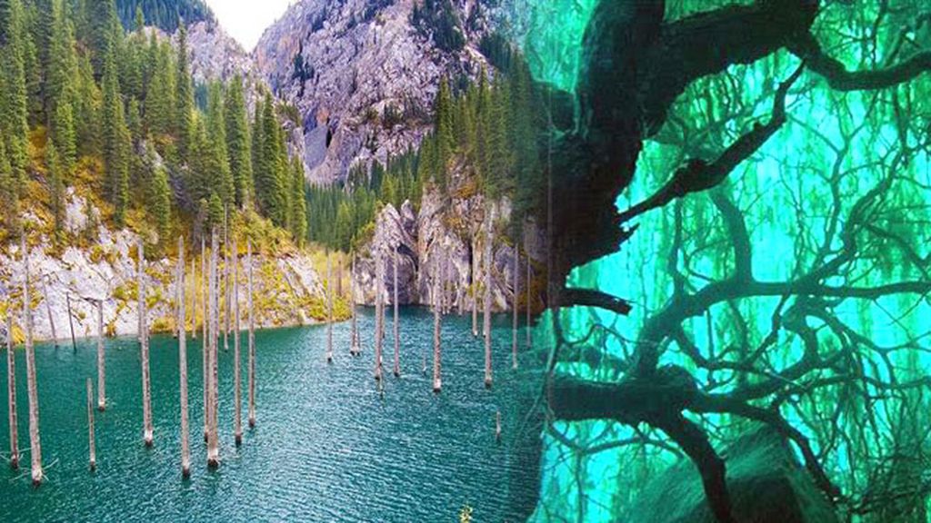 Bosque submarino en Kazajistán