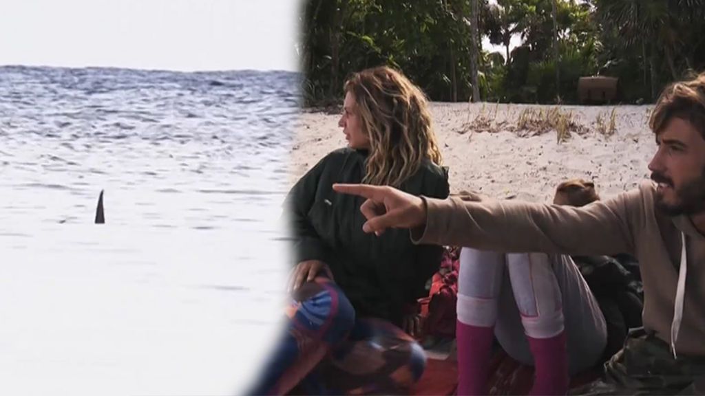 ¿Tiburones en Honduras? Paola está atemorizada: "No quiero volverme sin una pierna"