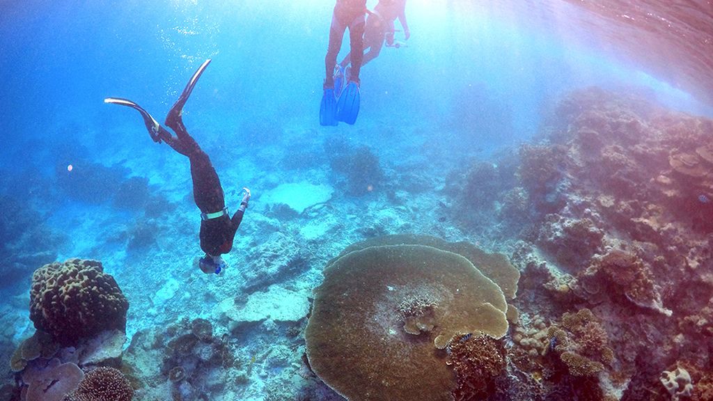 El conjunto de arrecife coralífero más extenso del mundo