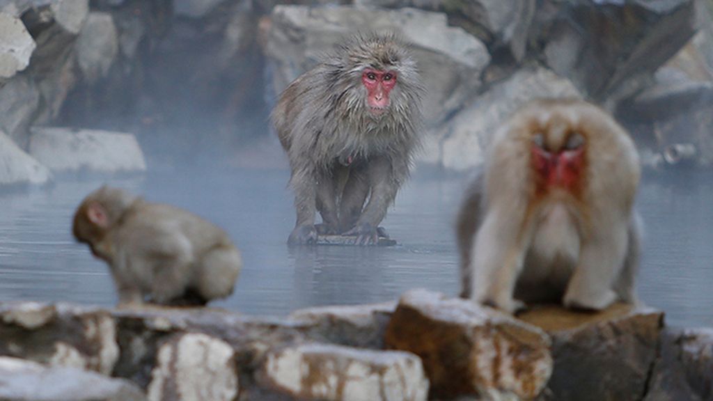 Huyen del frío bañándose en fuentes termales