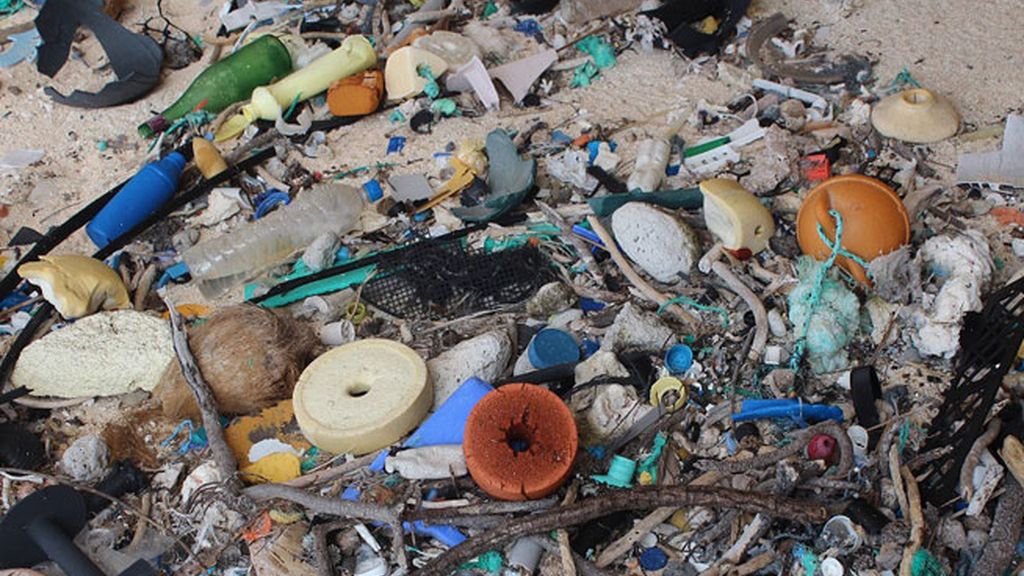 Contaminación en la playa