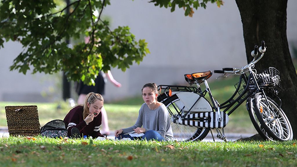 picnic