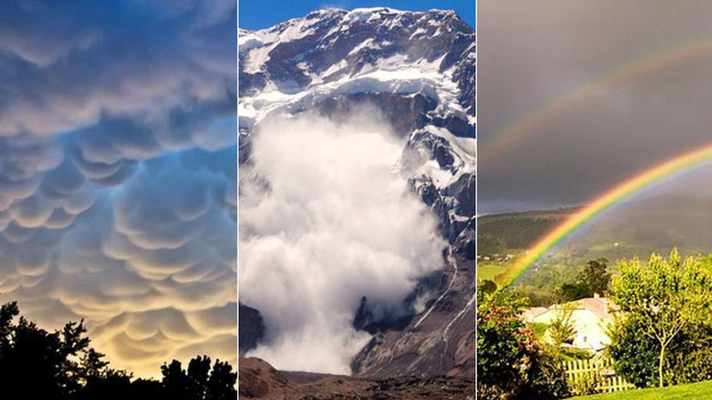 Ya huele a primavera y está viene cargada de sorpresas