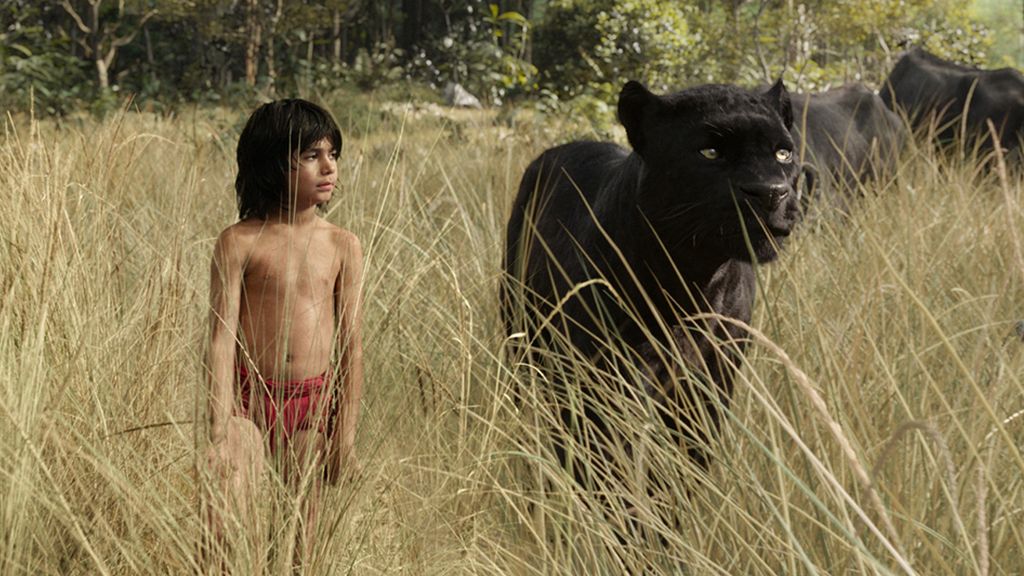 Entramos en la selva de la mano de Mowgli