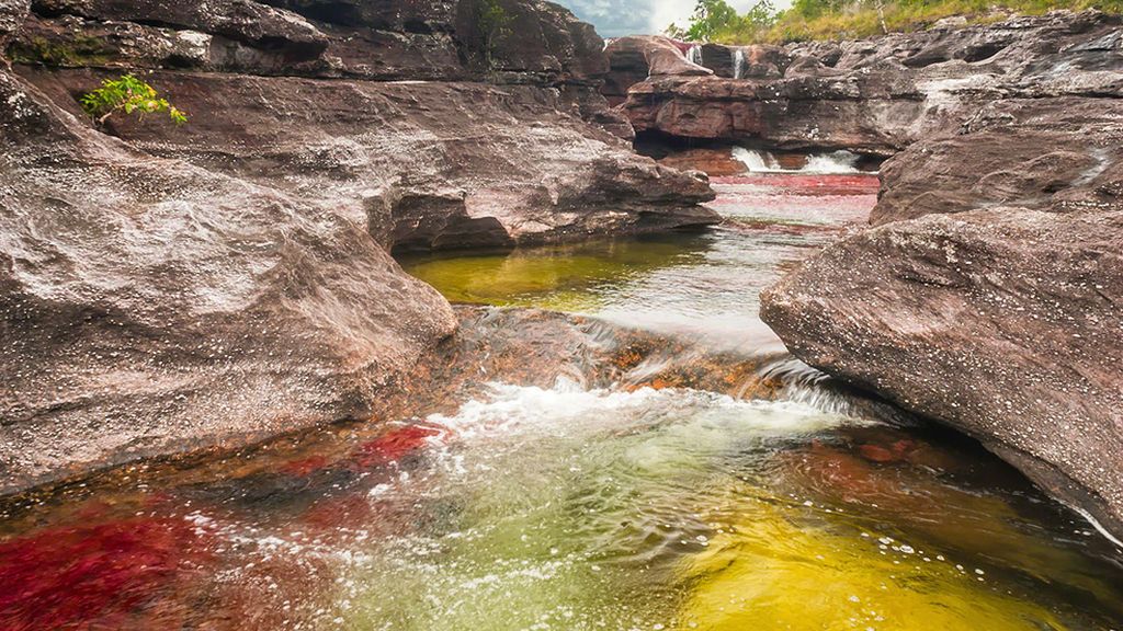 El río Caño Cristales, un arco iris derretido