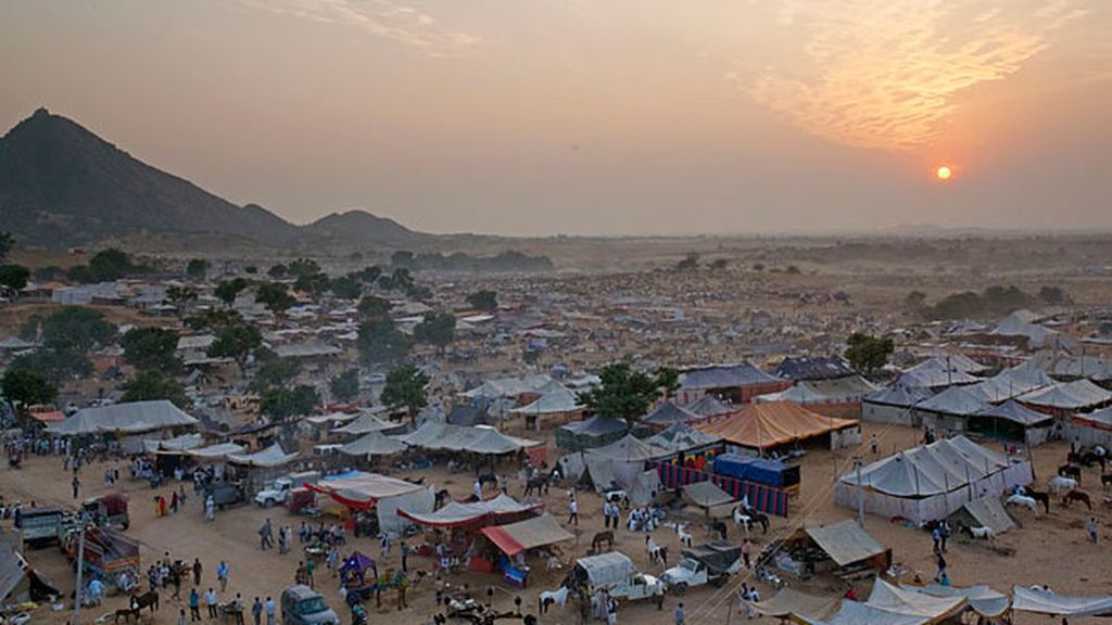 Feria de los camellos, en Pushkar (India)