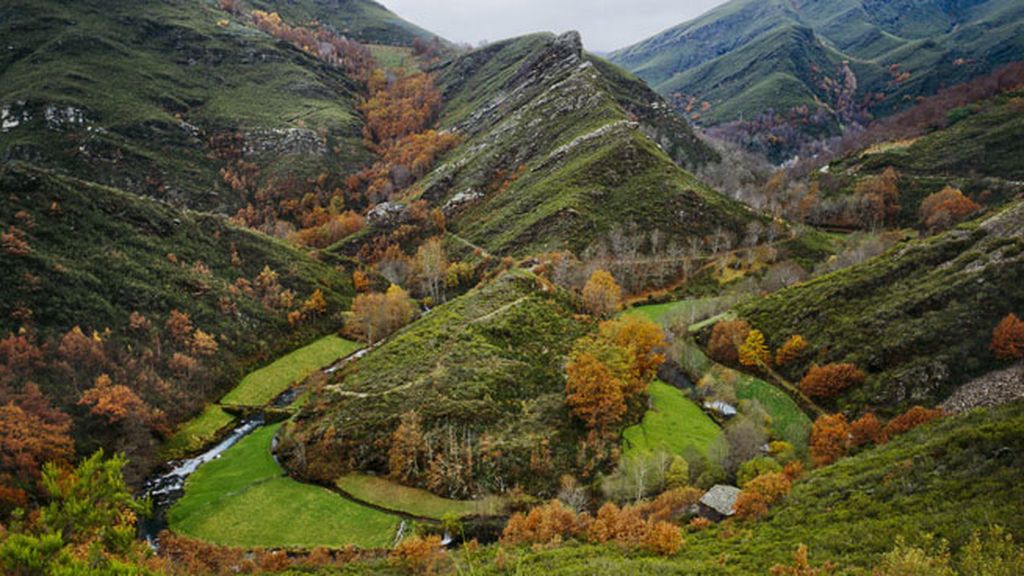 La Sierra do Courel (Galicia) será la más productora este año con 34.000 t de castañas
