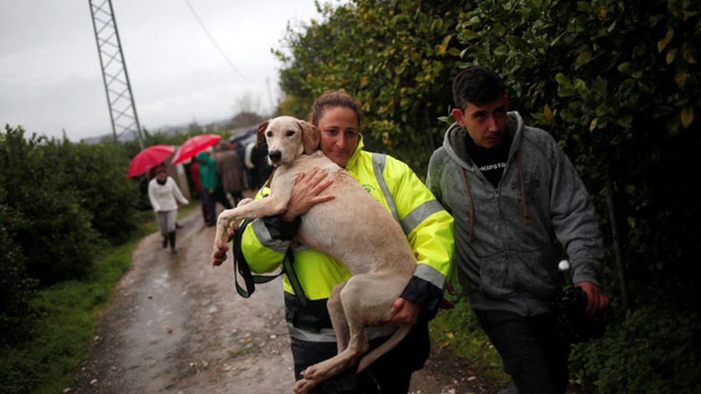 Los ciudadanos no han tardado en compartir los destrozos