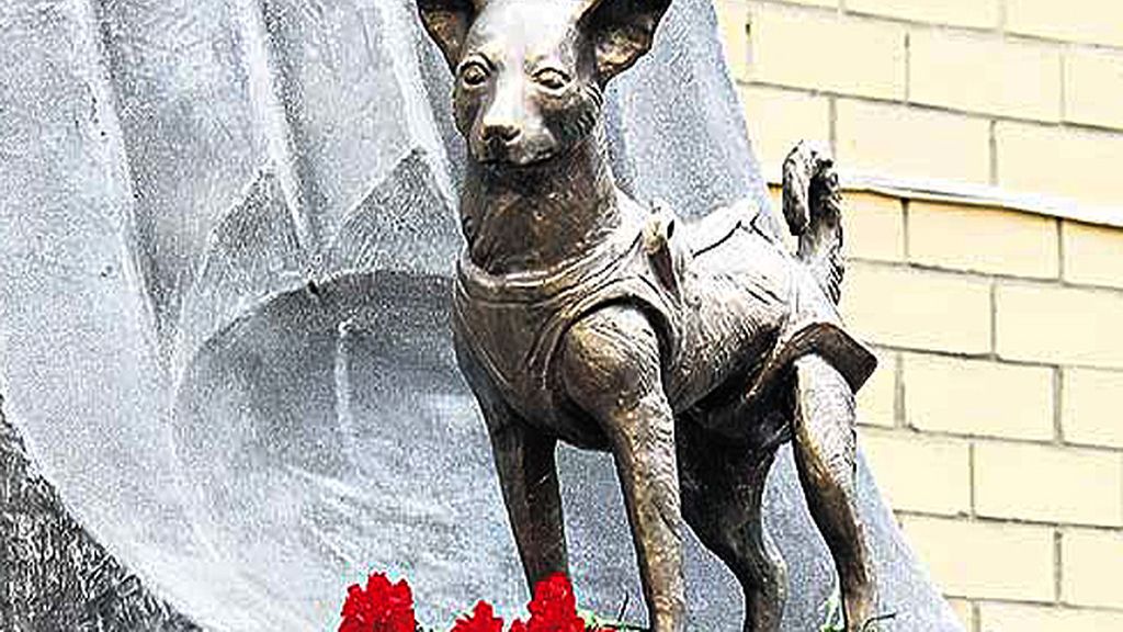 Laika fue el primer ser vivo en orbitar  la Tierra