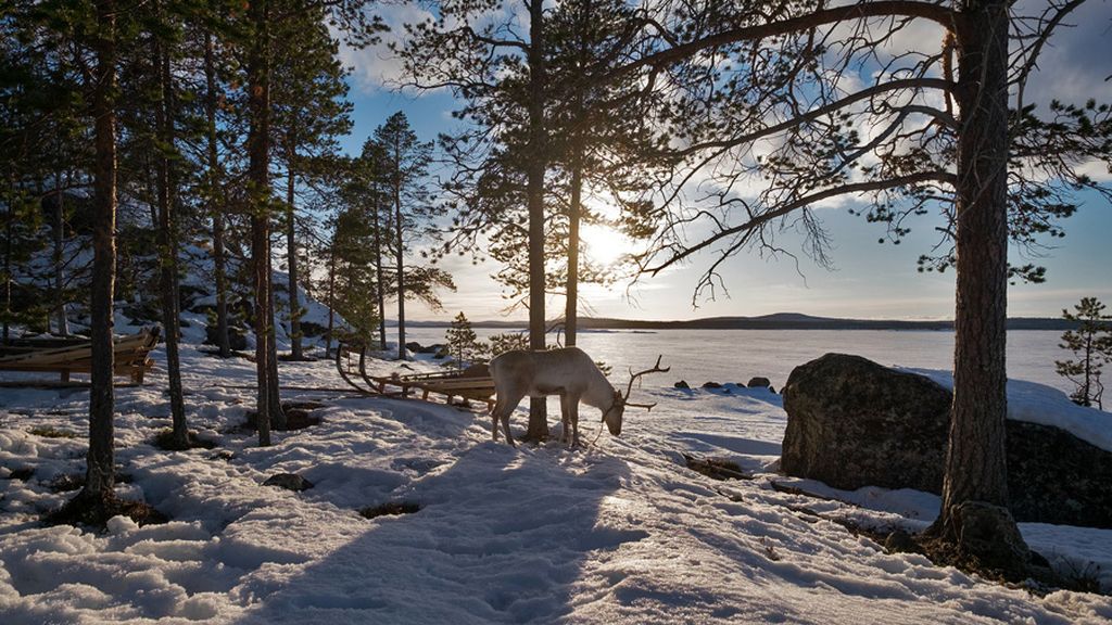 Así cambiaría el paisaje de nuestro planeta
