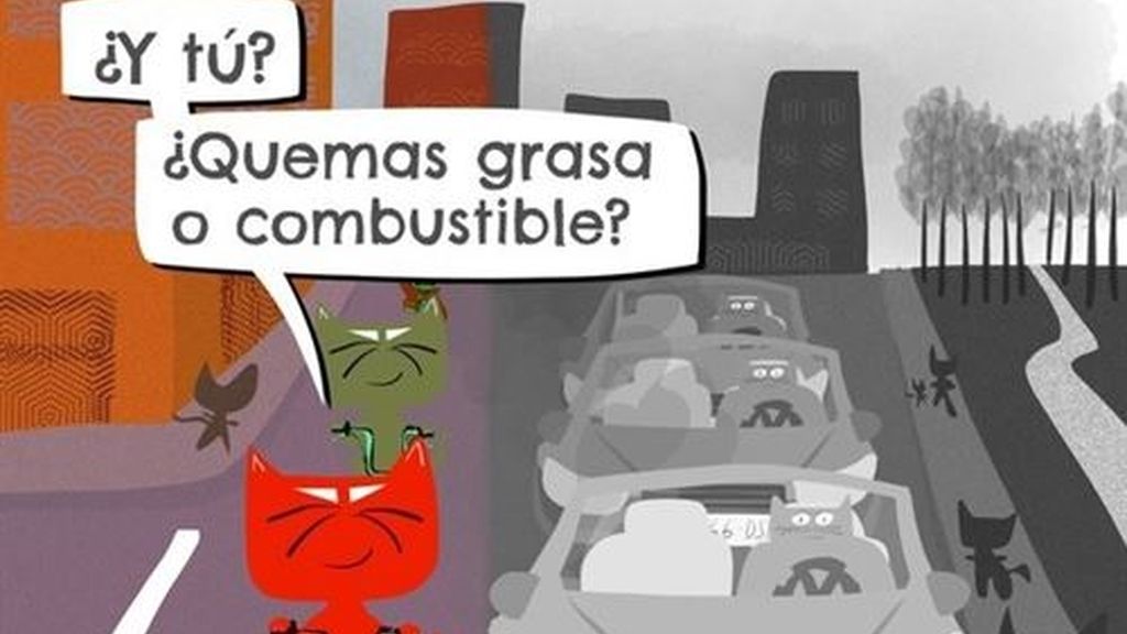 Gato Peraltez 2