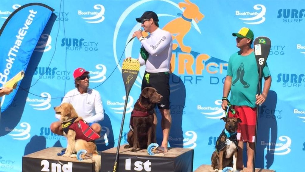 Bono y el resto de canes han competido por ver quién es el rey de las olas