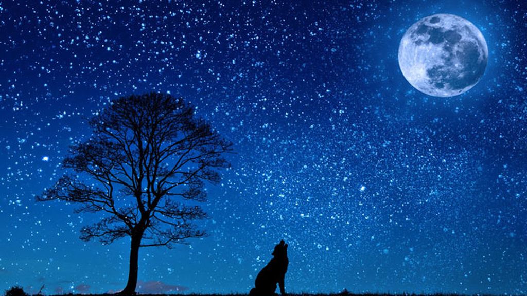 Nictofilia, para los que se convierten en lobezno a la luz de la luna llena