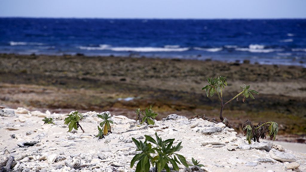 El conjunto de arrecife coralífero más extenso del mundo