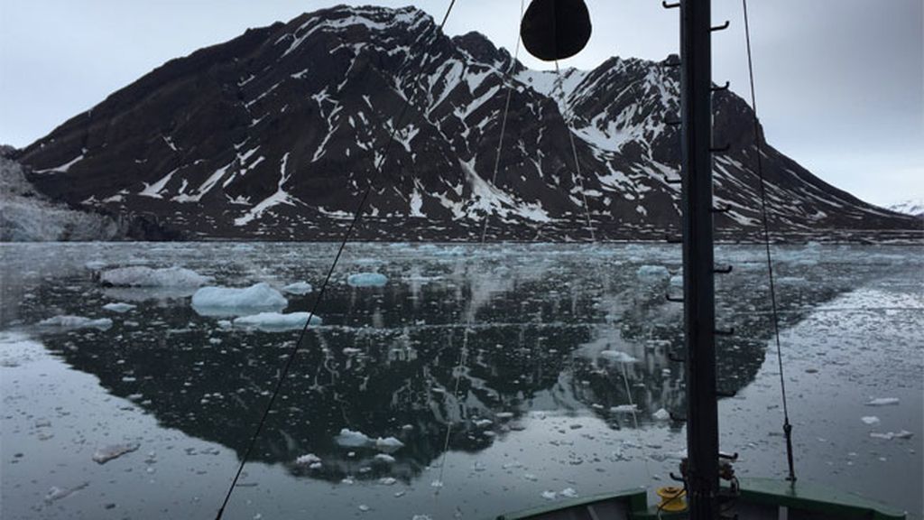 Piden crear una zona protegida, del tamaño del Reino Unido