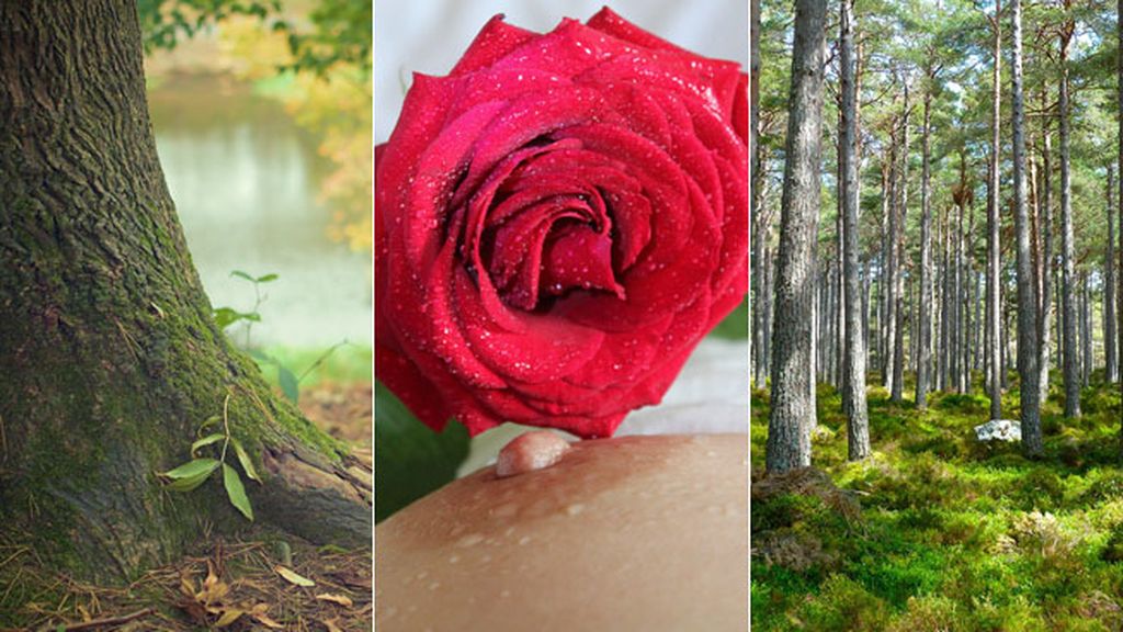 La Dendrofilia, atracción por los árboles y las plantas