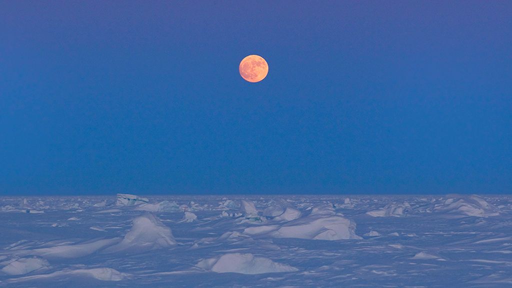 Luna Nieve 2 Luna Nieve 2