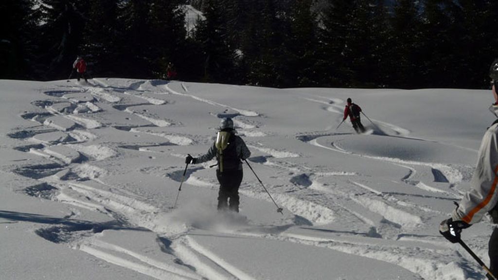 Tipos de nieve