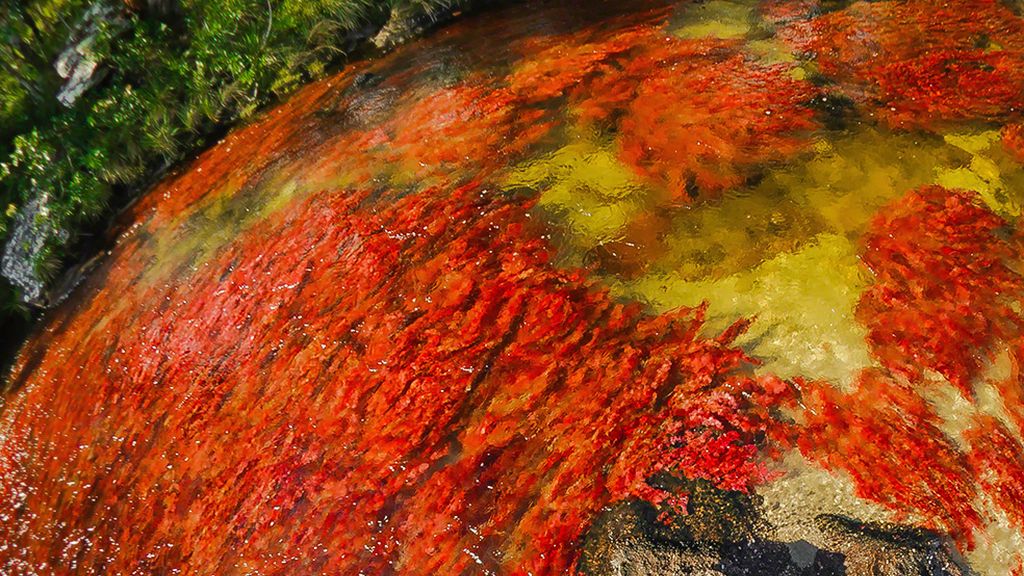 Unos 100 kilómetros de Paraíso en Colombia