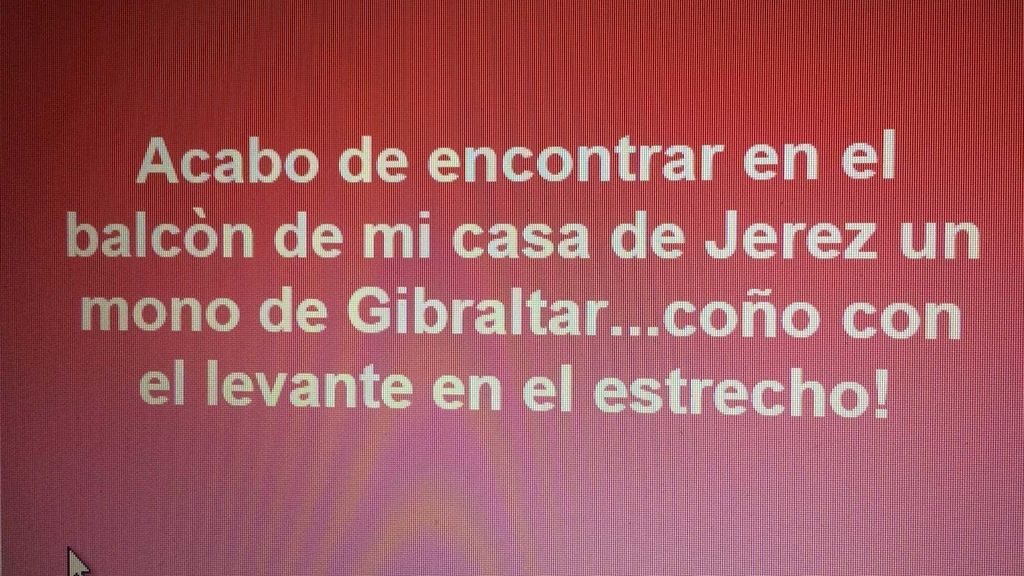 En medio del caos y las incidencias, también ha habido lugar para las bromas