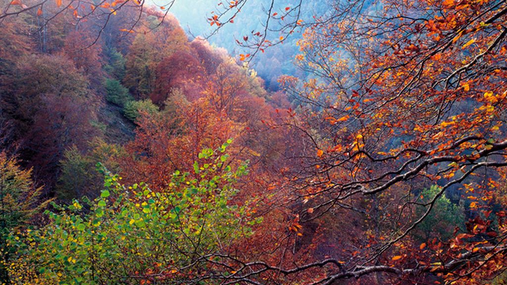 Fotografías inolvidables en la Reserva Natural Protegida de Saja-Nansa (Cantabria)