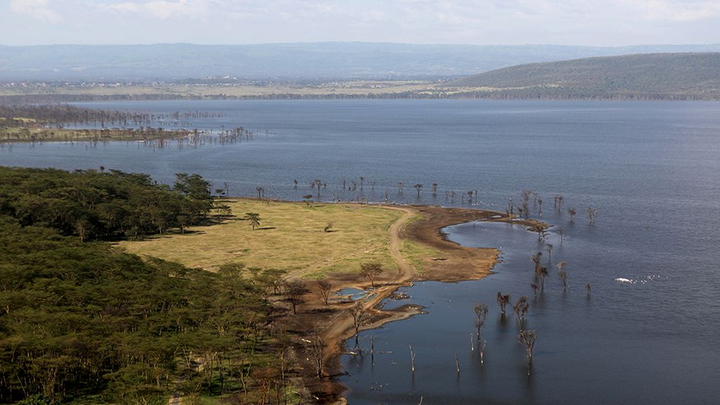 El hogar de grandes animales africanos