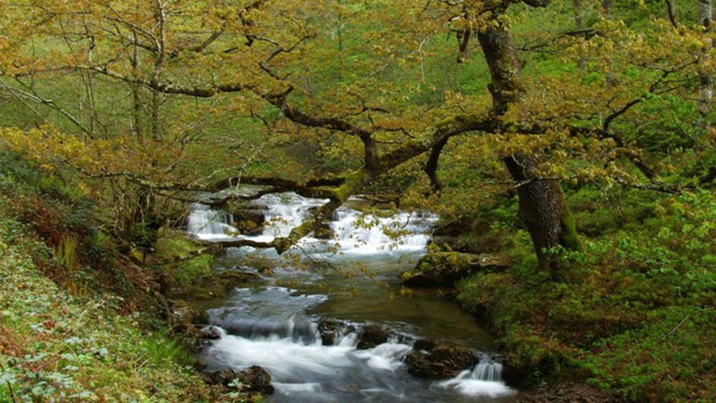 Parque Natural de Saja Besaya en Cantabria
