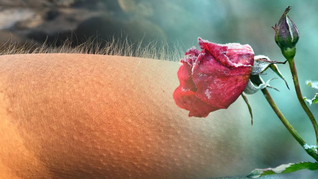 Psicrofilia o atracción sexual por pasar frío o ver pasar frío