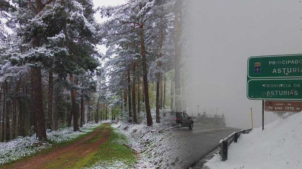 nieve mayo nieve mayo