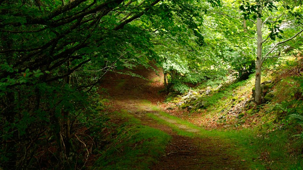 Uno de los secretos mejor guardados de España