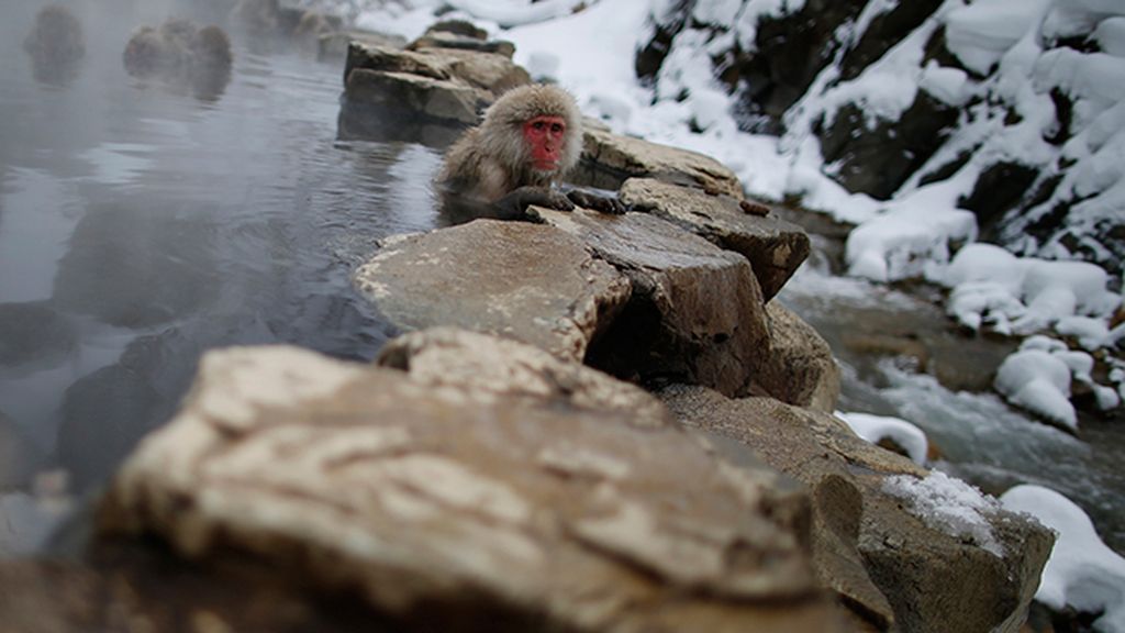 Huyen del frío bañándose en fuentes termales