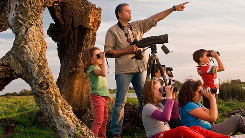 Los ciervos, los reyes del otoño en el Parque Nacional Doñana (Huelva)