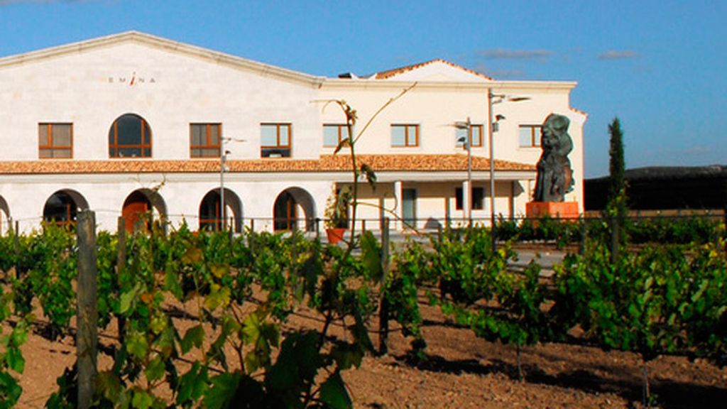 Cata para toda la familia en Emina Rueda (Valladolid)