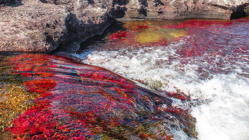 Unos 100 kilómetros de Paraíso en Colombia