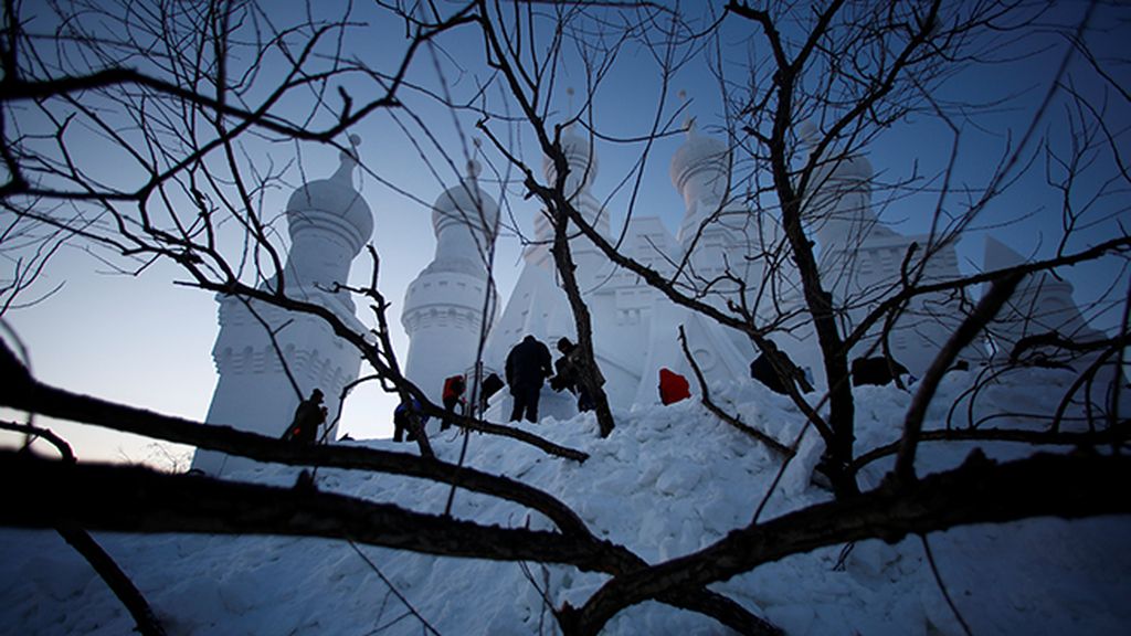 En invierno pueden alcanzar hasta -35 grados de temperatura