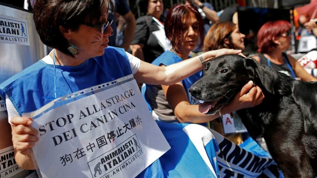 perros