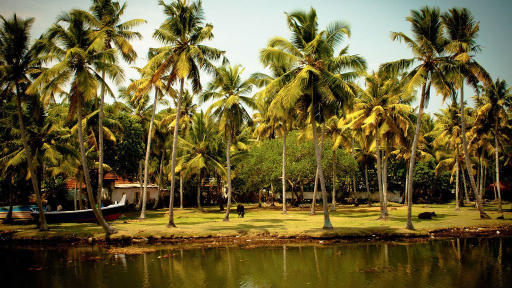Kerala, una región del sur de la India