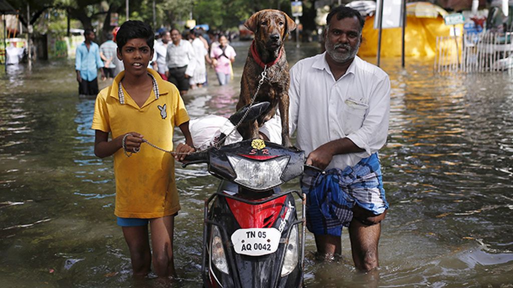 Al menos 269 muertos en Chennai