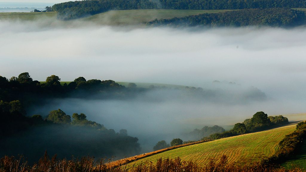 ¡Adiós a la estación de la caída de la hoja!
