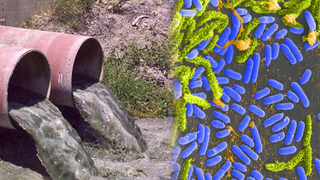 Más cólera que nunca